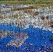 “Clouds in the Water,” the Everglades north of Tamiami Trail, 2008