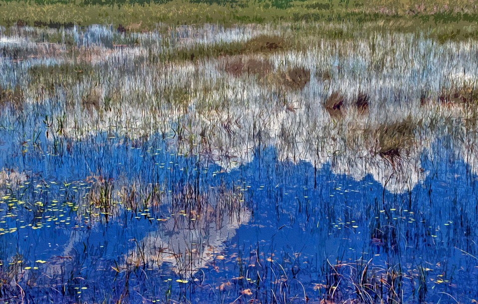 “Clouds in the Water,” the Everglades north of Tamiami Trail, 2008