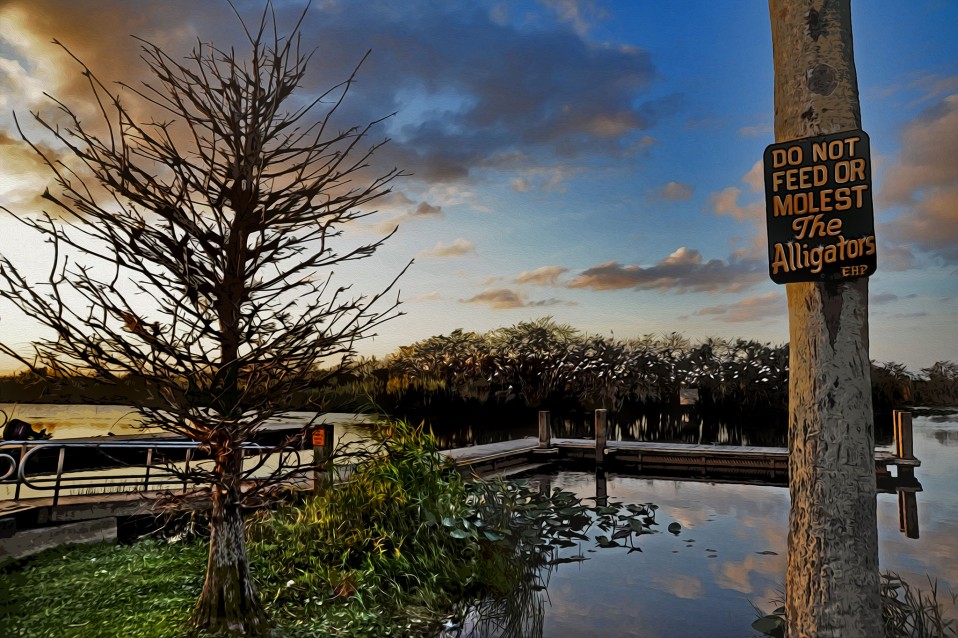 “Darn, I was hoping to molest an alligator while I was here,” Broward County, 2012