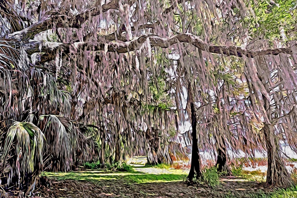 “Grandma’s World,” Lake Henderson, 2011