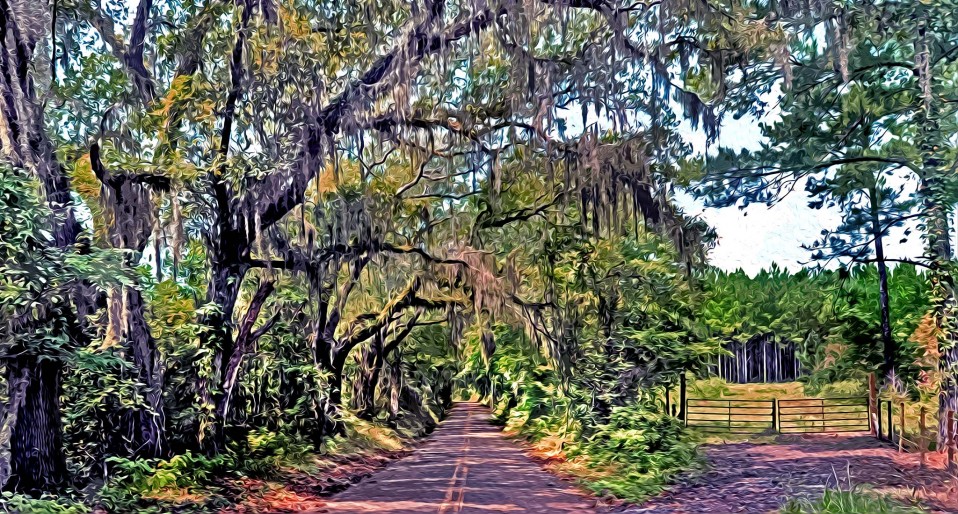 “Magical Corridors,” Jefferson County, 2010