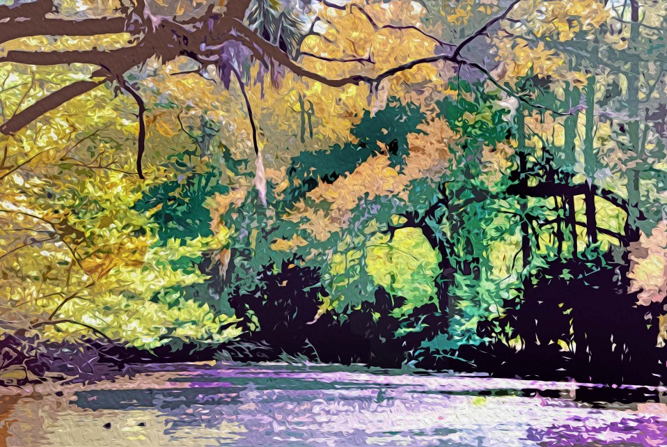 “Canopy River,” Wakulla County 2011