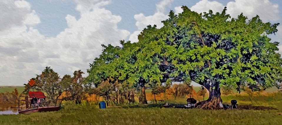 “Torry Island Stop,” Lake Okeechobee 2008