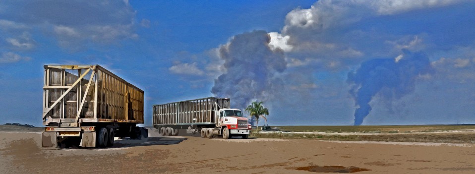 “America’s Everglades,” Palm Beach County 2012