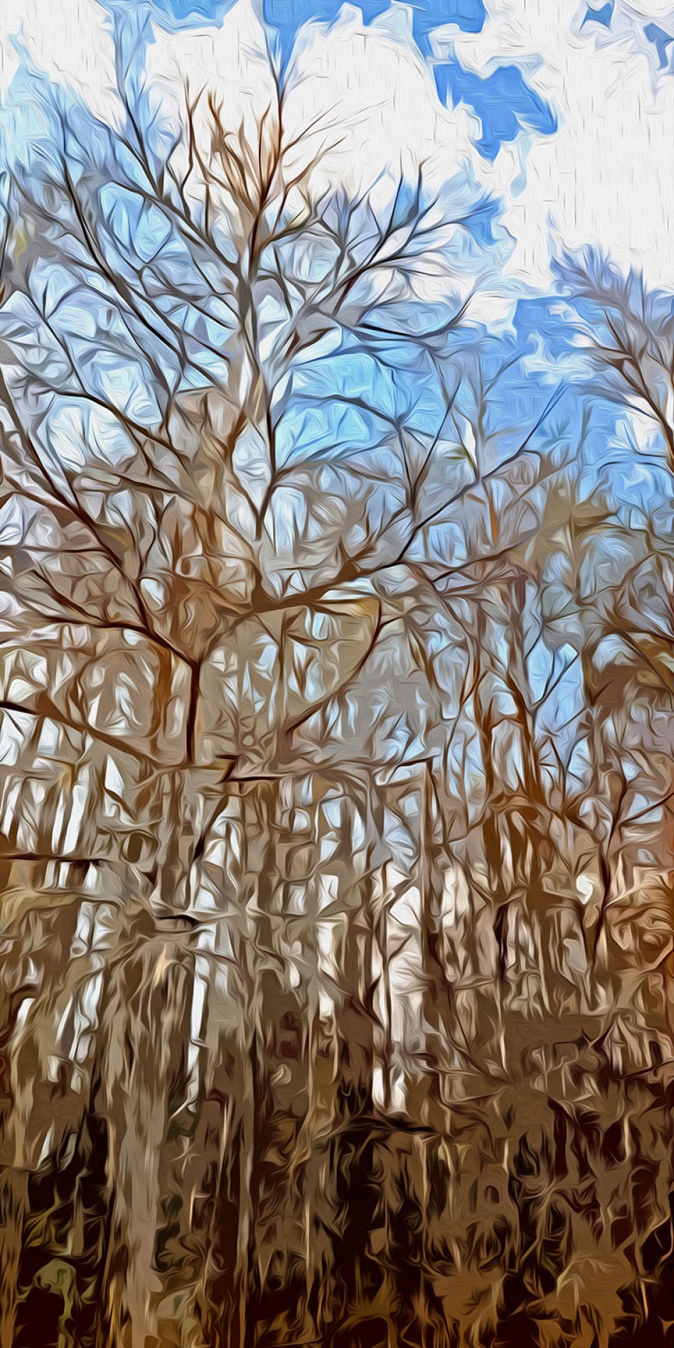 “Winter Cypress,” Corkscrew Swamp Sanctuary, 2008