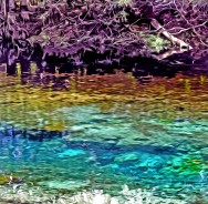 “Cool Margaret,” Cannon Spring, Oklawaha River 2012