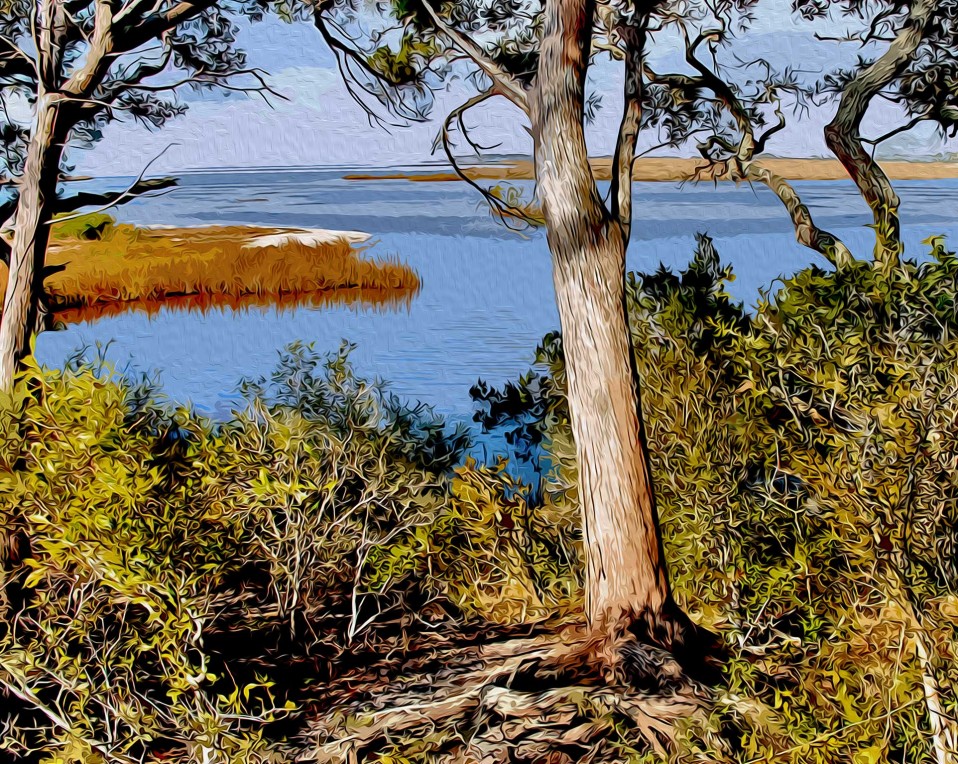 “Florida’s Nature Coast,” Suwannee 2009