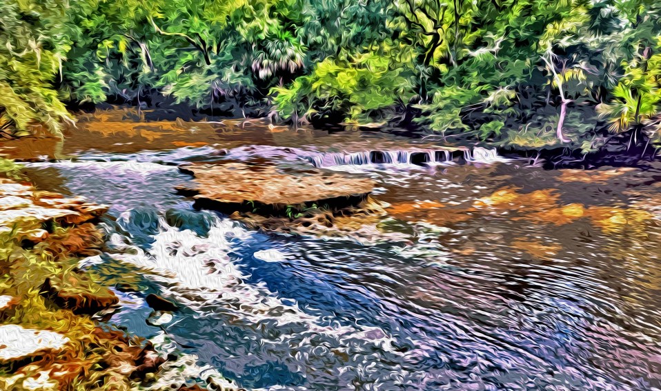 “Steinhatchee Falls,” Steinhatchee River 2011