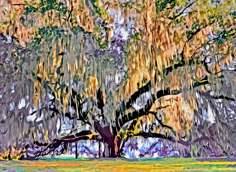 “Hall and Oak,” Tallahassee, 2011