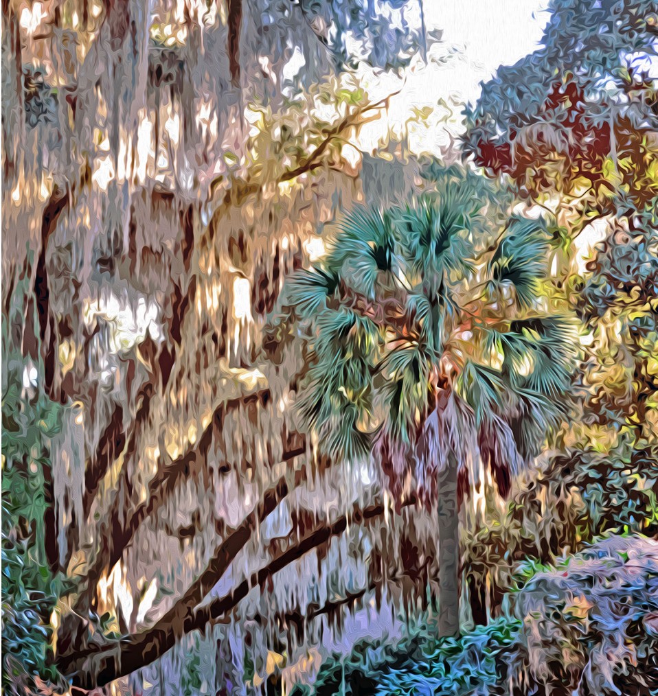 Tree Trinity, Tallahassee, 2011