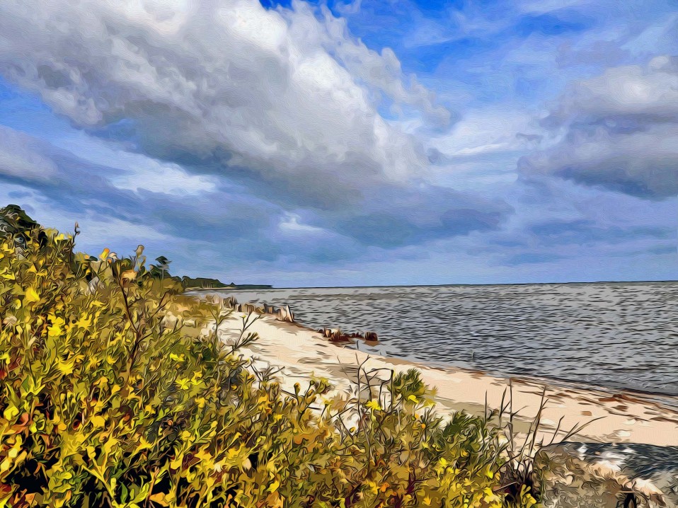 “Autumn Coastline,” Franklin County Coast, 2011