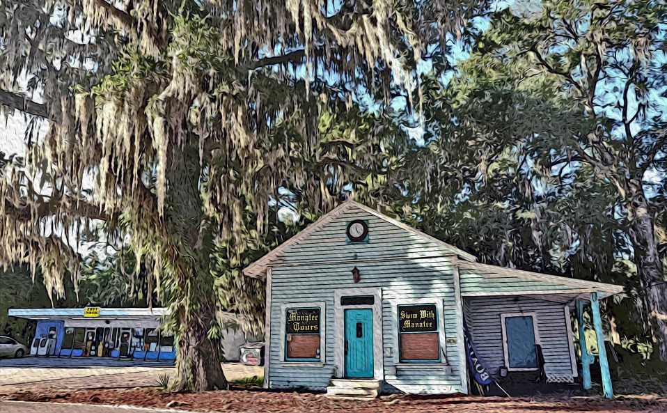 “The Jiffy with Manatees!” Homossassa Springs, 2011