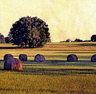 “Hay Rolls,” Leon County, 2011