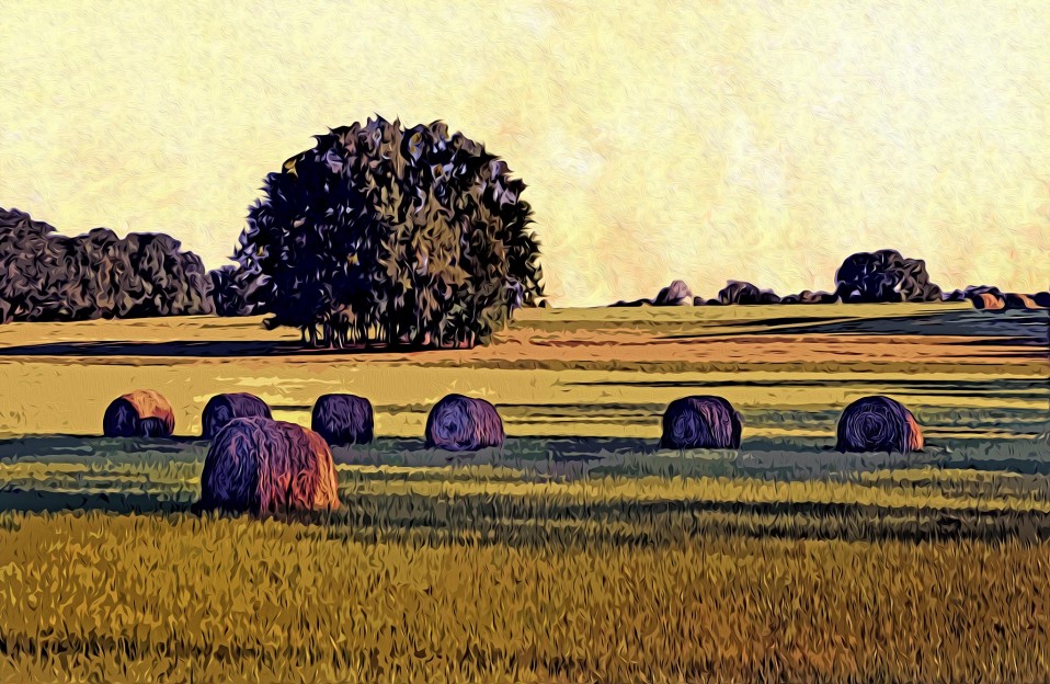 “Hay Rolls,” Leon County, 2011