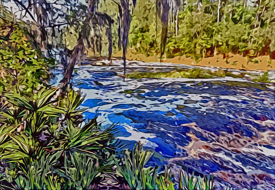 “Big Shoals of the Suwannee River,” Hamilton County, 2012