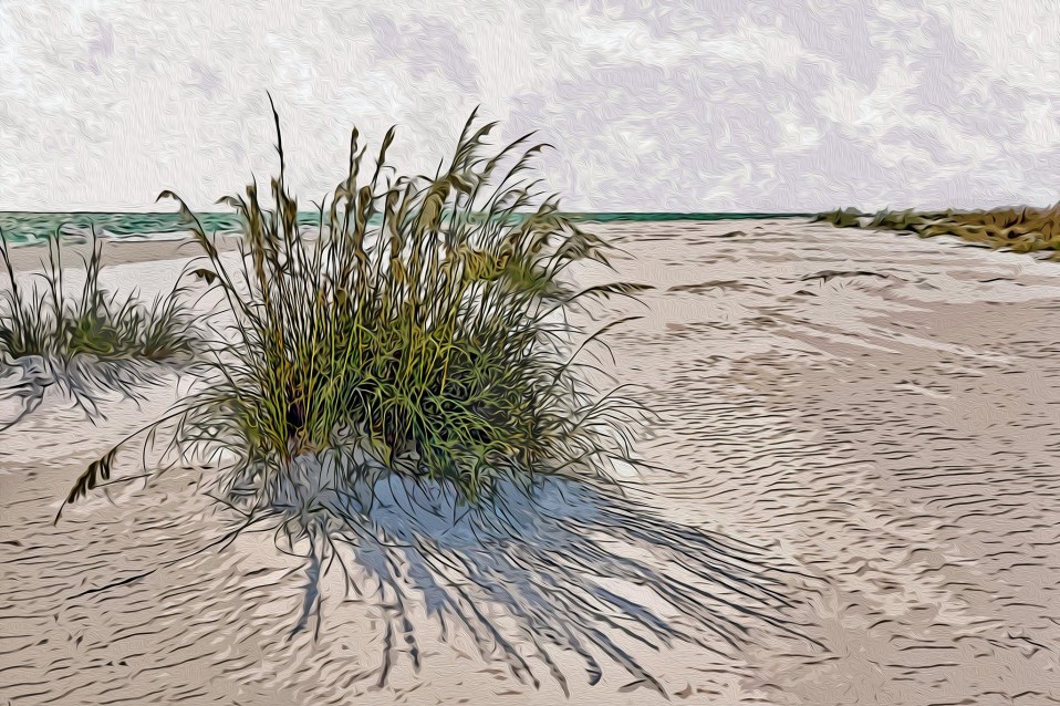 “Sea Oats,” Anna Maria Beach, 2012