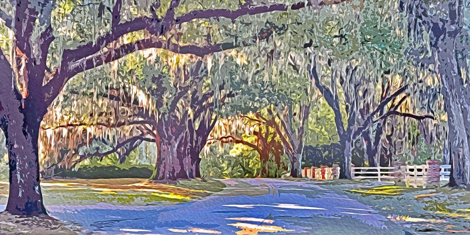 “Live Oak Plantation,” Tallahassee 2011