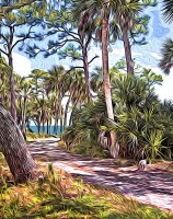“St. Vincent Island Road,” Franklin County 2011
