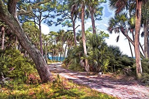 “St. Vincent Island Road,” Franklin County 2011