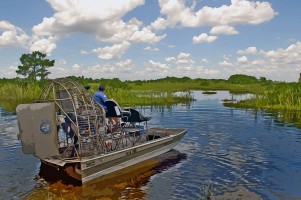 “Urban Outpost,” North of the Tamiami Trail 2008